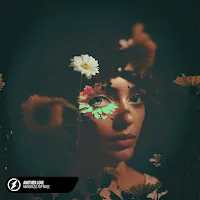 Pop Mage — Another Love (Feat. Mandrazo) — обложка