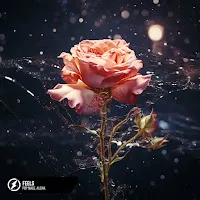 Pop Mage — Feels Ft Alexia — обложка